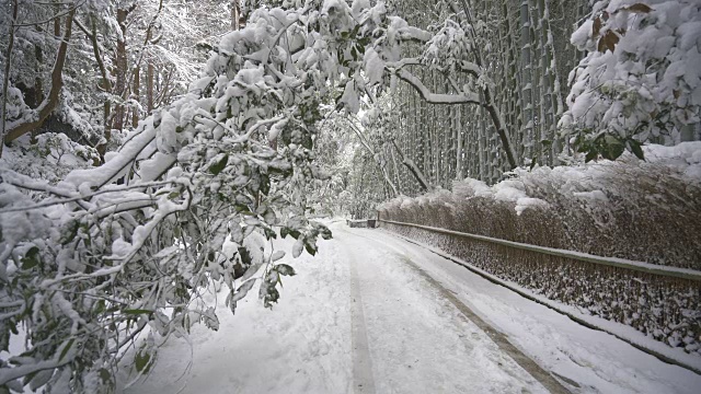 在积雪很深的空旷道路上，在竹园手推车上拍摄视频素材