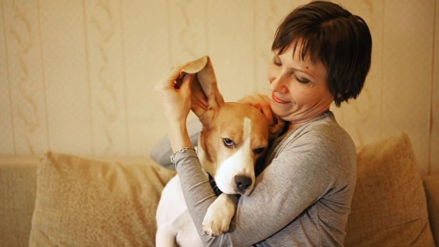 女人拉着小猎犬的长耳朵，展示它们，把它们举起来形成一个房子。视频素材