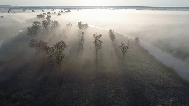 河谷中有雾的早晨。飞过有树的多雾草地。空中无人机拍摄。4 k, UHD视频素材