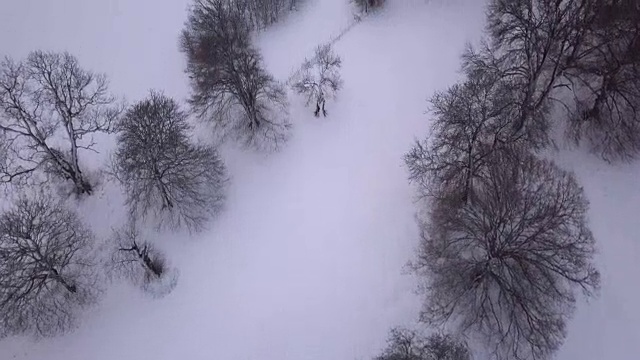 圣诞前夕，科茨沃尔德乡村的雪景视频下载