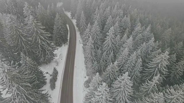 无人机飞过道路，树梢和森林视频素材