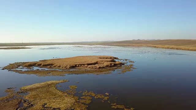 多瑙河三角洲湿地鸟瞰图视频素材