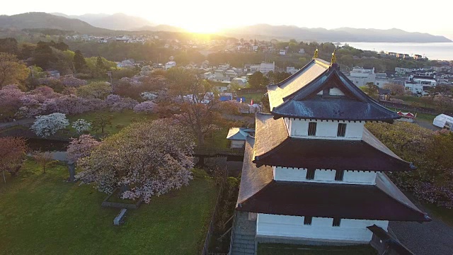 无人机航拍;日本北海道松前公园里的樱花树和松前城堡。视频素材