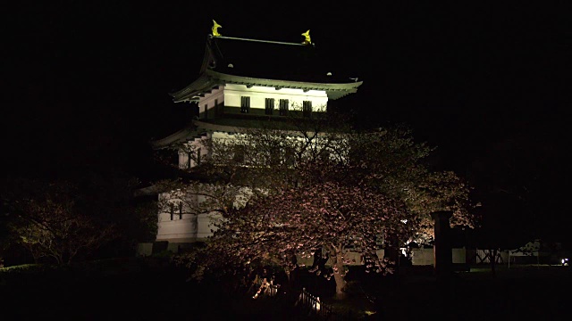 日本北海道，松前城，樱花盛开的前景。视频素材