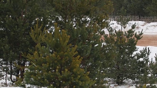 冬天的时候，他开着一辆沙滩车行驶在积雪覆盖的路上视频素材