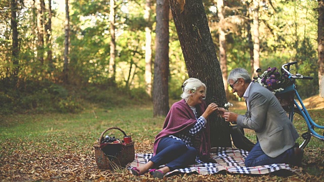 一对浪漫的老夫妇坐在草地上，一边野餐一边放松。视频素材