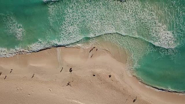 海边海滩鸟瞰图。美丽的热带海滩自然景观视频。俯视图航空视频美丽的自然景观与热带海滩在坎昆，墨西哥。加勒比海，珊瑚礁，俯视图视频素材