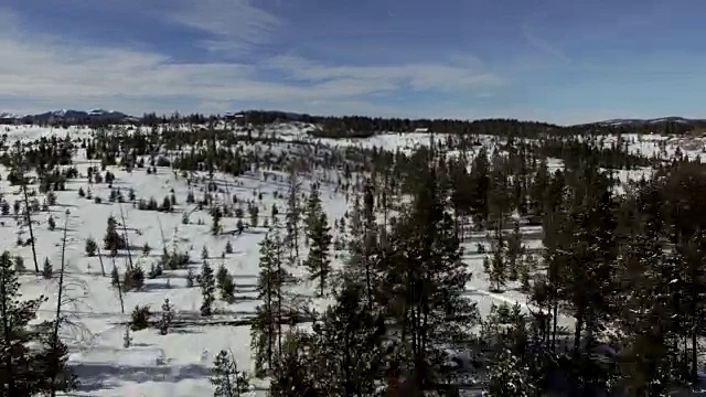 空中鸟瞰积雪的冬季森林视频素材