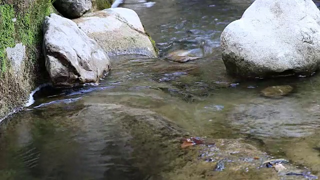 河中的水流法国视频素材