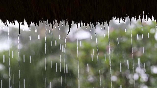 热带夏雨滴落在花园的稻草屋顶上。印尼巴厘岛视频素材