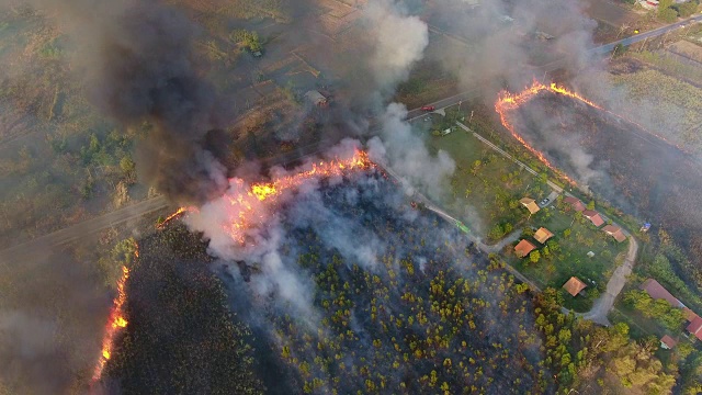 泰国农业大火。鸟瞰图视频素材