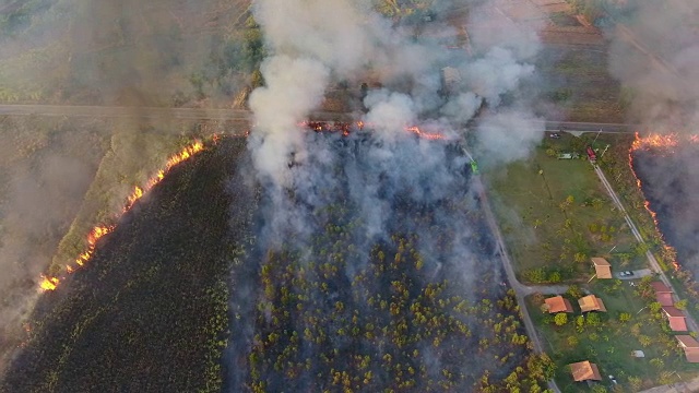 泰国农业大火。鸟瞰图视频素材