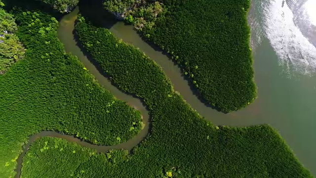 红树林清澈的水，风景森林在甲米国家公园，泰国，无人机俯视图。视频素材