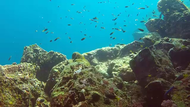 水下深海洞穴，“烟囱”，科哈，甲米，泰国视频素材