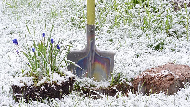 铲花强暴风雪视频素材