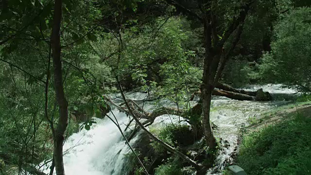 河水从山泉中涌出视频素材