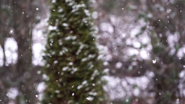 慢动作的雪花飘落视频素材