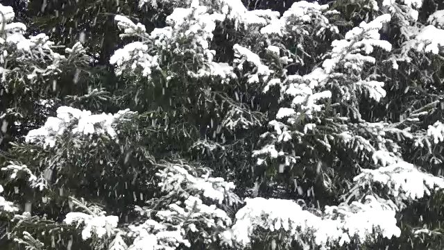 冬季场景-大雪视频下载