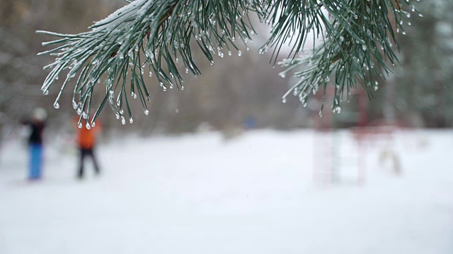 团队滑雪者在自然降雪和微风的背景下视频素材