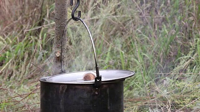 野外露营时在篝火上准备食物视频素材