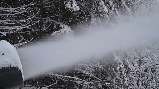 雪佳能视频素材