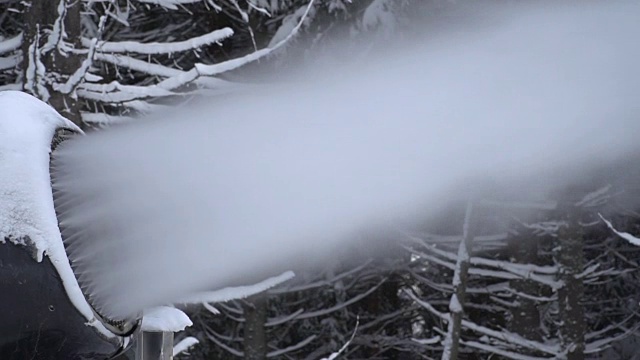 雪佳能视频素材