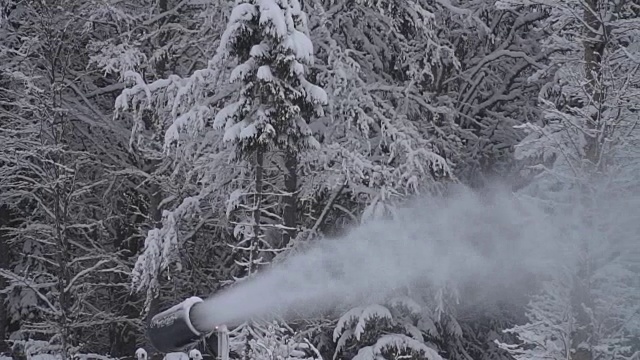 雪佳能视频素材