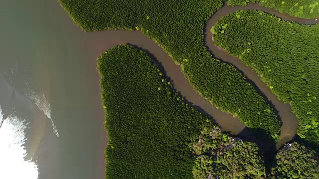 红树林清澈的水，风景森林，岛屿和美丽的自然海洋在甲米，泰国，无人机拍摄。视频素材