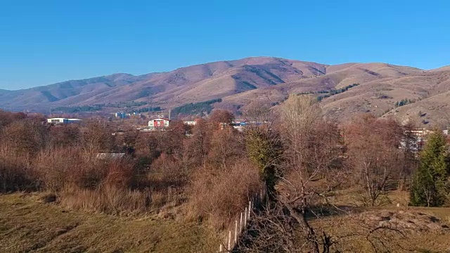 树木鸟瞰图视频素材