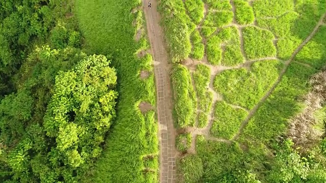 令人惊叹的鸟瞰图校园汉岭漫步在阳光下视频素材