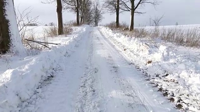 阳光下的雪路视频素材