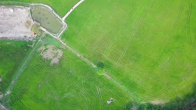 泰国那空那ok的田野和竹桥视频素材