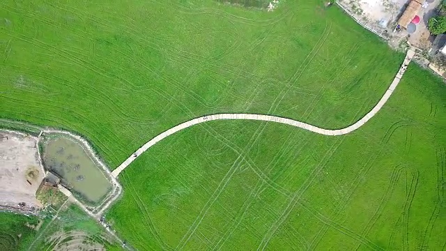 泰国那空那ok的田野和竹桥视频素材