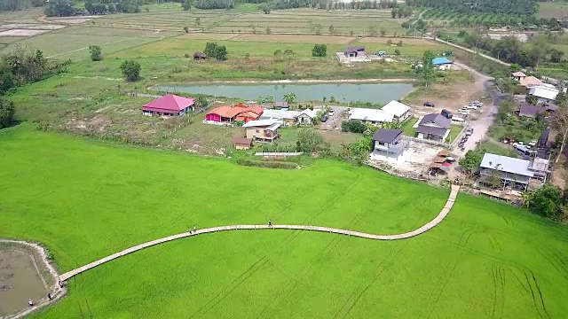 泰国那空那ok的田野和竹桥视频素材