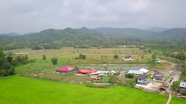 泰国那空那ok的田野和竹桥视频素材