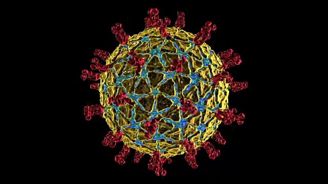 轮状病毒视频素材