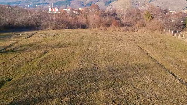 天然绿草从无人机视频素材