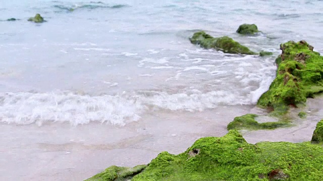 随着海水的涨潮，海岩上长满了青苔。视频素材