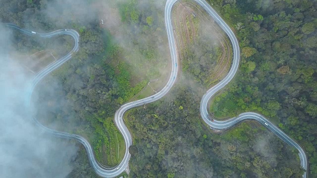 鸟瞰图公路旅行或蜿蜒的道路在森林卡梅伦高地，布林昌，马来西亚视频素材