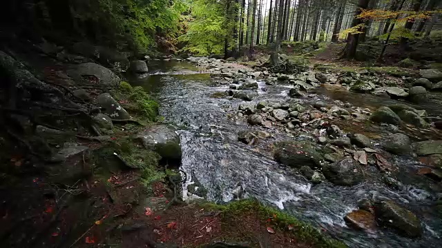 卡克诺斯山的森林溪流视频素材