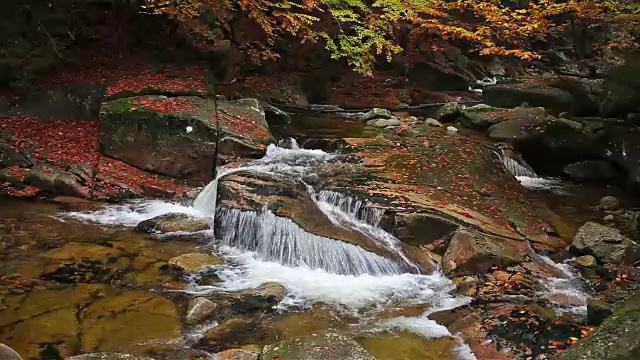 秋山流水淙淙视频素材