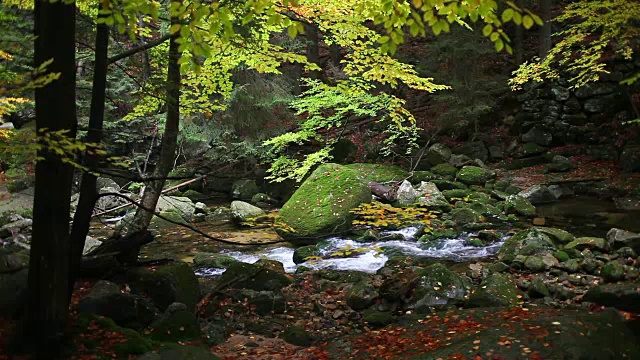 溪水，山林，风景清幽视频素材