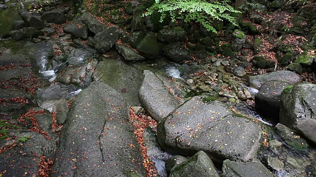 秋天的小山溪视频素材