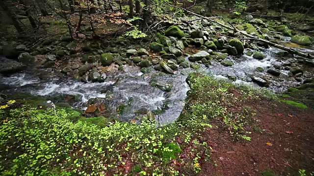 波兰Karkonosze山脉的小溪视频素材