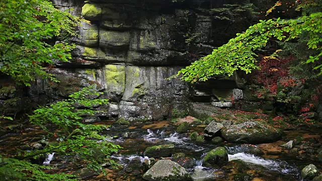 波兰山林溪流宁静的风景视频素材