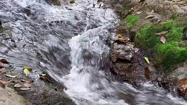 水流流过岩石和苔藓，流入热带森林中的瀑布小溪。视频素材