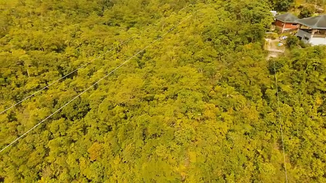 在菲律宾保和岛的丛林里的吸引人的滑索视频素材