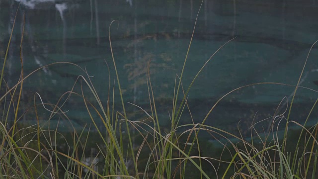 拉近秋色绿草和碧蓝湖水的背景视频下载