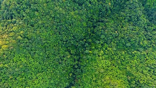 高山和森林的顶视图。视频素材