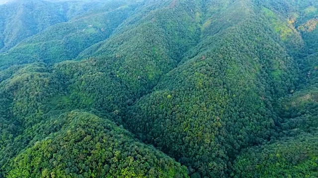 山景和森林鸟瞰图。视频素材